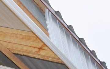 why Birdsmoorgate fascia repairs are essential