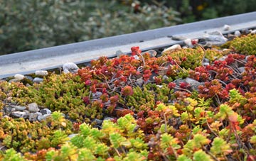 the cost of Birdsmoorgate green roof installation