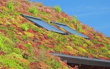Birdsmoorgate living roof systems