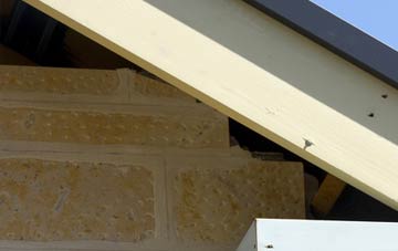 soffit repair Birdsmoorgate