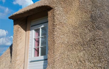 Birdsmoorgate thatch roof disadvantages